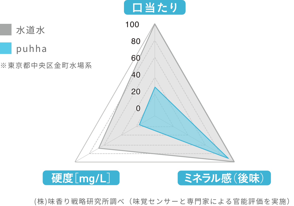 水の味分析 グラフ